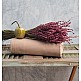 Κουβέρτα Μονόχρωμη Πικέ Summer Line - Latte, Διπλό (200x245)