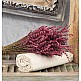 Σεντόνια Μονόχρωμα Λάστιχο Angel - Ivory, Ημίδιπλo λάστιχο (120x200+25)