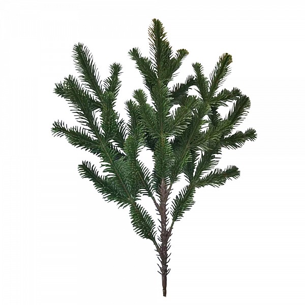 CHRISTMASH GREN ΚΛΑΔΙ PVC ΠΡΑΣΙΝΟ H50cm INTHEBOX