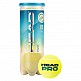 HEAD PRO KOYTA 24X3 BALL CAN NEW ΜΠΑΛΛΑΚΙΑ TENNIS