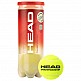 HEAD CHAMPIONSHIP KOYTA 24X3 NEW