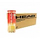 HEAD CHAMPIONSHIP KOYTA 24X3 NEW