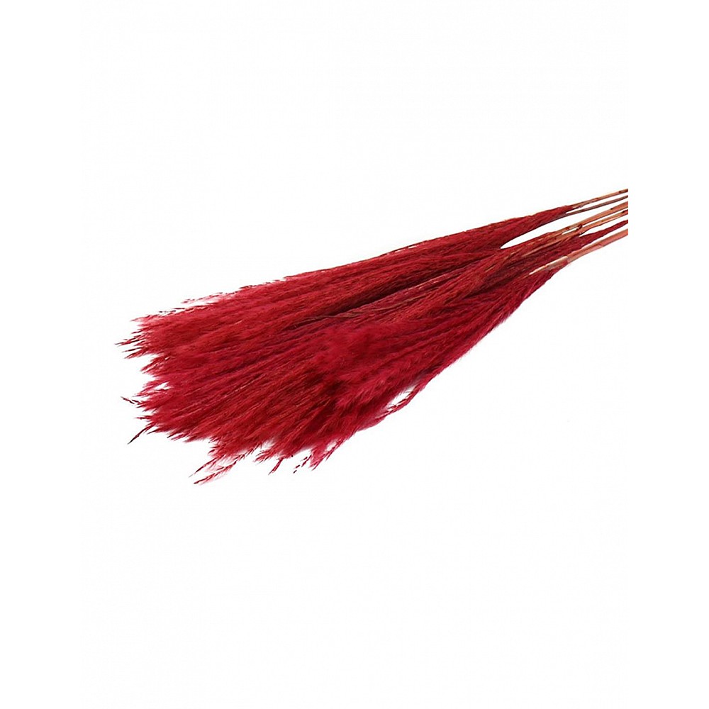 PAMPAS FLUFFY 10pc RED