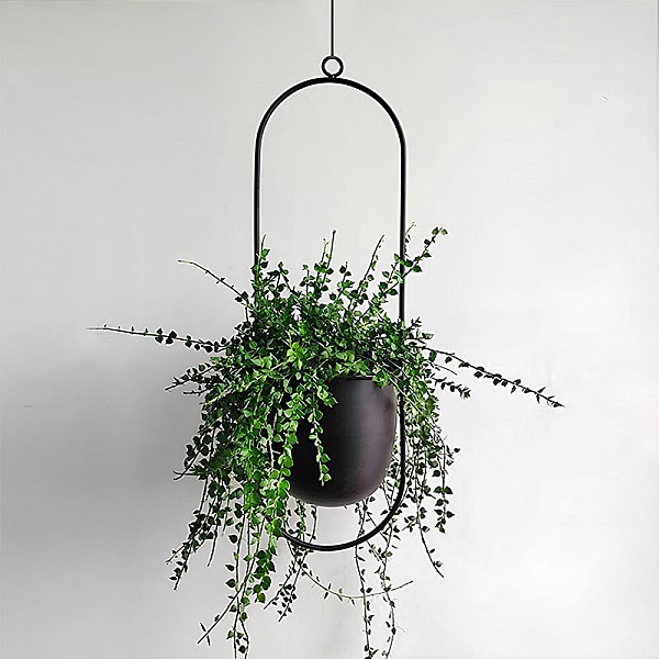 Βάση - ζαρντινιέρα κρεμαστή μεταλλική για φυτά εσωτερικού και εξωτερικού χώρου χρώμα μαύρο Φ15εκ.