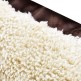 PET COMFORT Κρεβάτι Σκύλου 75 x 55 x 15 cm 02661953 PET COMFORT Κρεβάτι Σκύλου 75 x 55 x 15 cm 02661953