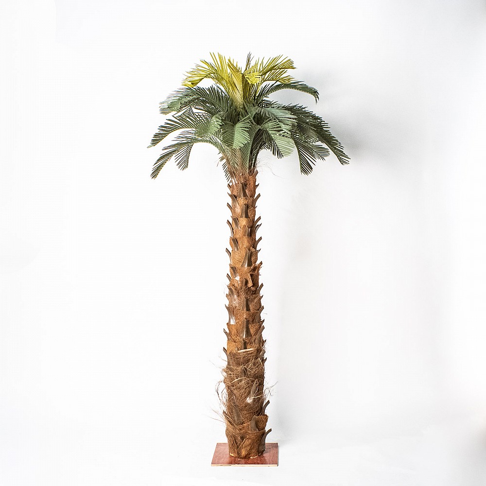 Supergreens Τεχνητό Δέντρο Τσίκας Palm Πράσινο 180 εκ.