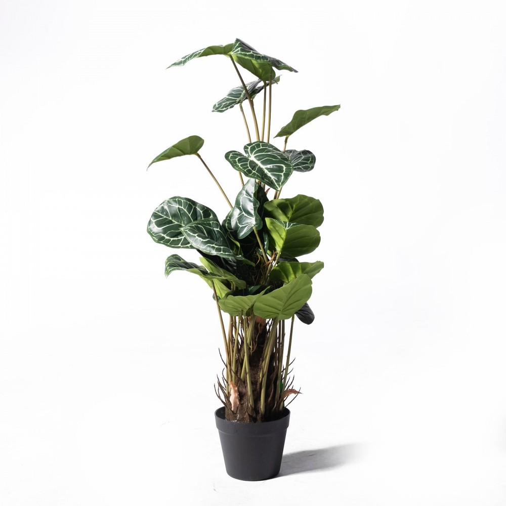 Supergreens Τεχνητό Φυτό Ανθούριο Clarinervium Πράσινο 90 εκ.