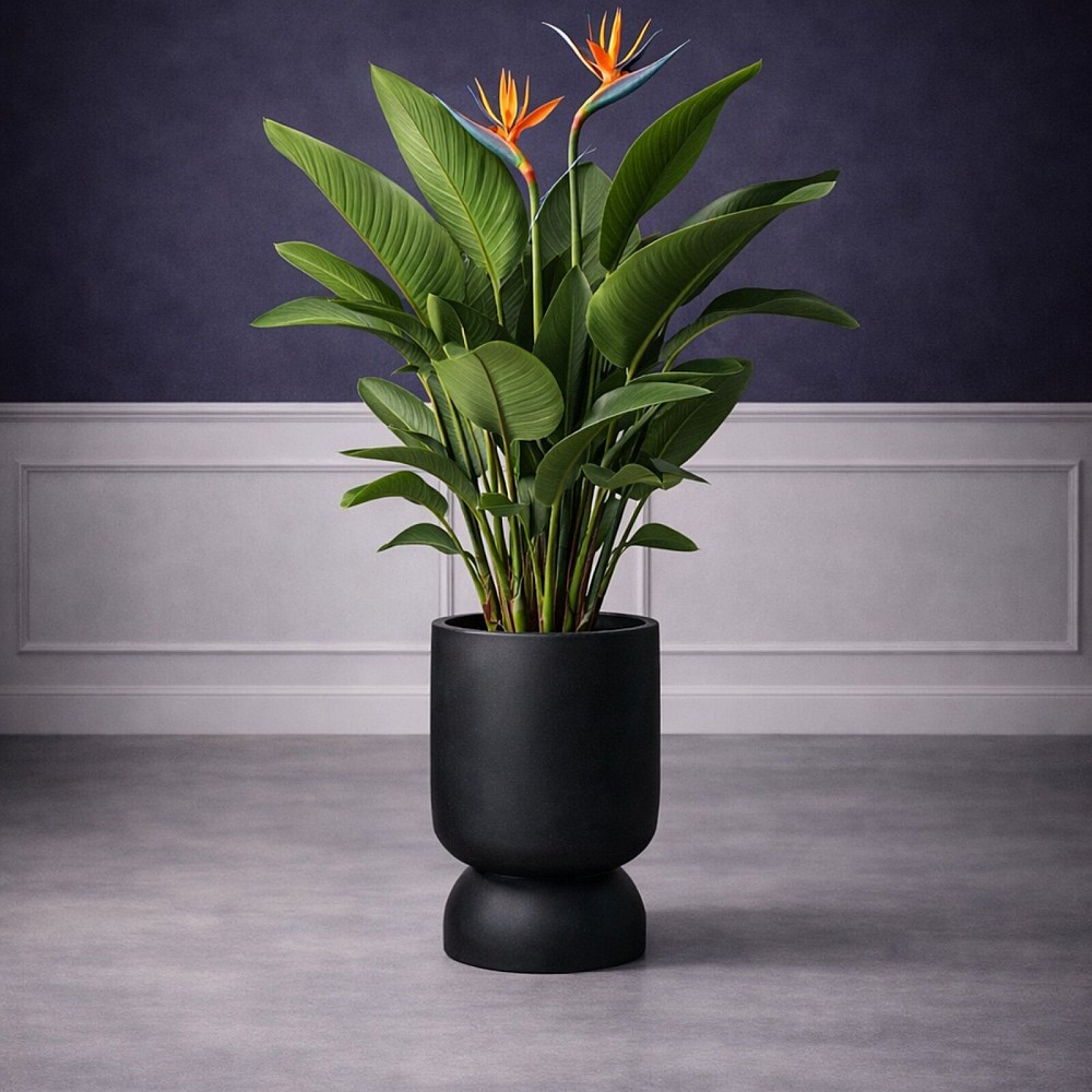 Supergreens Γλάστρα Πήλινη Κύλινδρος "Inverso" Μαύρο Wash S 30x30x60 εκ.