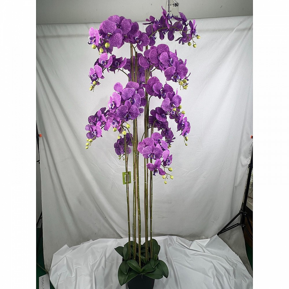 Supergreens Τεχνητό Φυτό Ορχιδέα Phalaenopsis Μωβ 180 εκ.