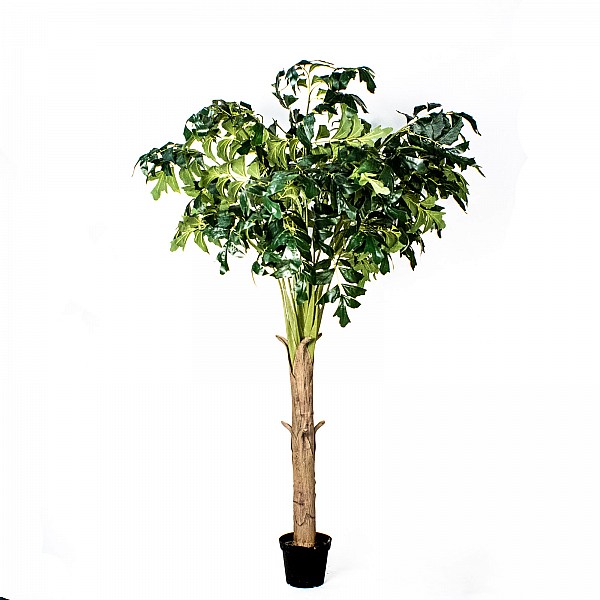 Supergreens Τεχνητό Δέντρο Φίκος "Abstract" Πράσινο 250 εκ.