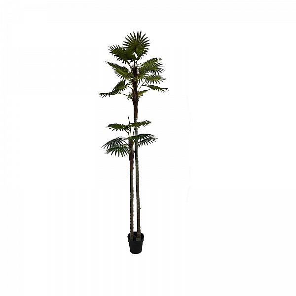 Supergreens Τεχνητό Δέντρο Φοίνικας "Radix" με Διπλό Κορμό Πράσινο 250 εκ.
