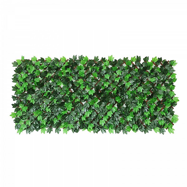 Supergreens Τεχνητή Φυλλωσιά Πτυσσόμενη Κισσός "Eden" Πράσινη 100x200 εκ.