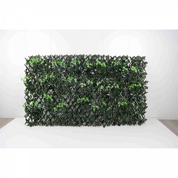 Supergreens Τεχνητή Φυλλωσιά Πτυσσόμενη Φίκος με Κισσό "Aurae" Πράσινη 100x200 εκ.