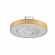 it-Lighting Chilko 36W 3CCT LED Fan Light in Golden Color (101000360)