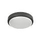 it-Lighting Echo LED 15W 3CCT Outdoor Ceiling Light Anthracite D:21cmx6cm (80300240)