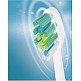 SENCOR SOC 4200BL Ηλεκτρική Ηχητική Οδοντόβουρτσα σε μπλε χρώμα