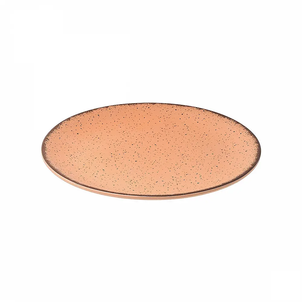 ΠΙΑΤΟ ΡΗΧΟ TERRA ΠΟΡΣΕΛΑΝΙΝΟ 21cm SALMON 07-15947