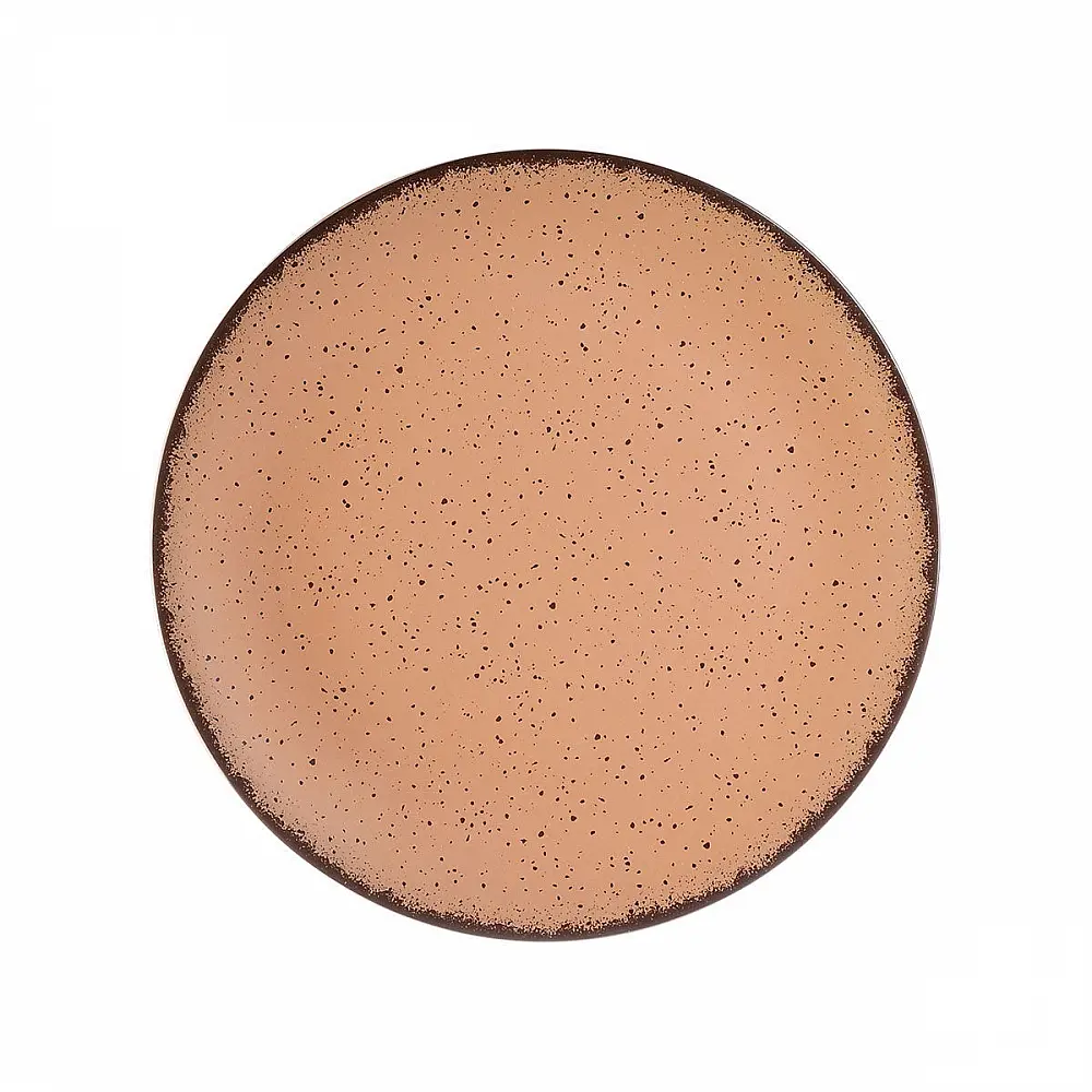ΠΙΑΤΟ ΡΗΧΟ TERRA ΠΟΡΣΕΛΑΝΙΝΟ 21cm SALMON 07-15947