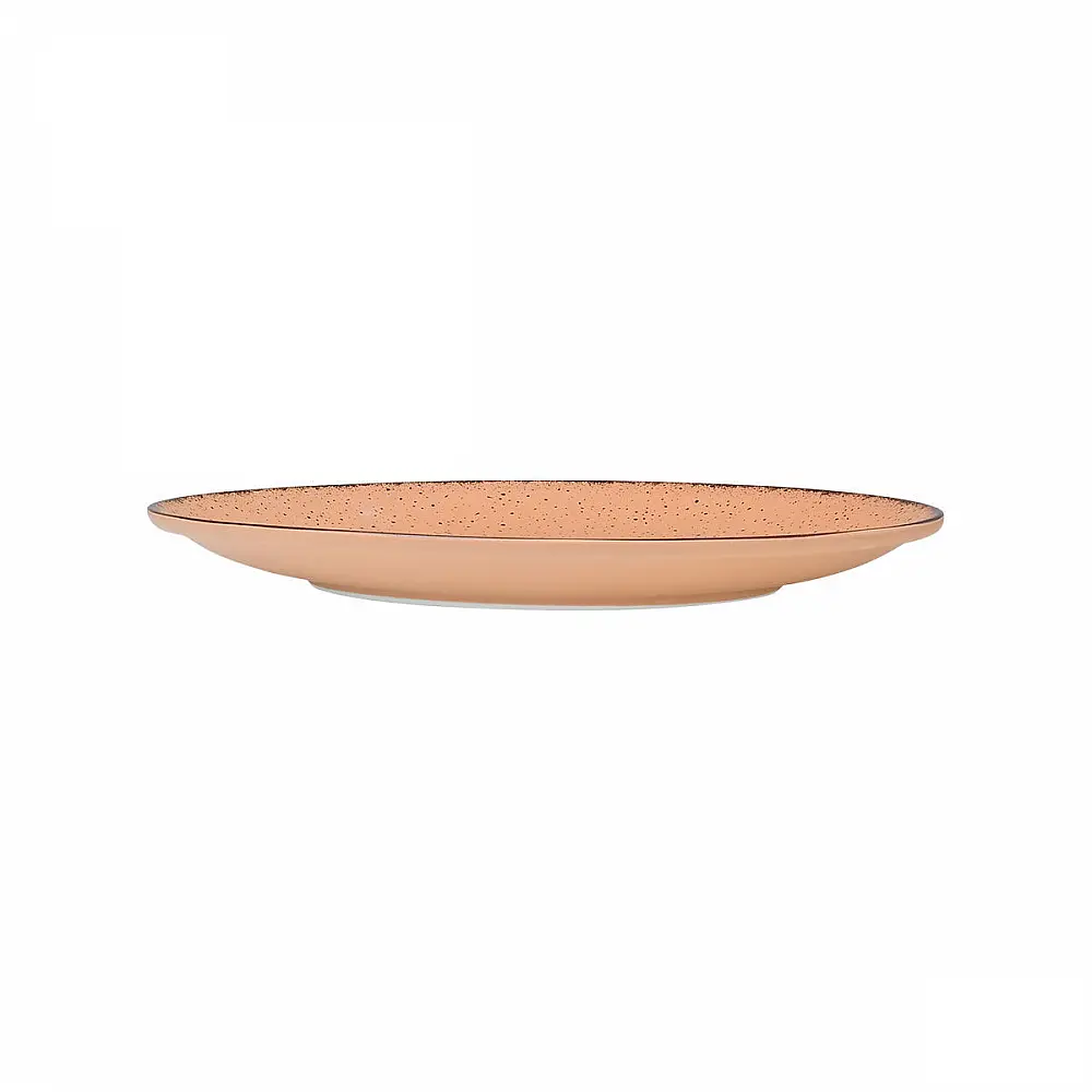 ΠΙΑΤΟ ΡΗΧΟ TERRA ΠΟΡΣΕΛΑΝΙΝΟ 21cm SALMON 07-15947