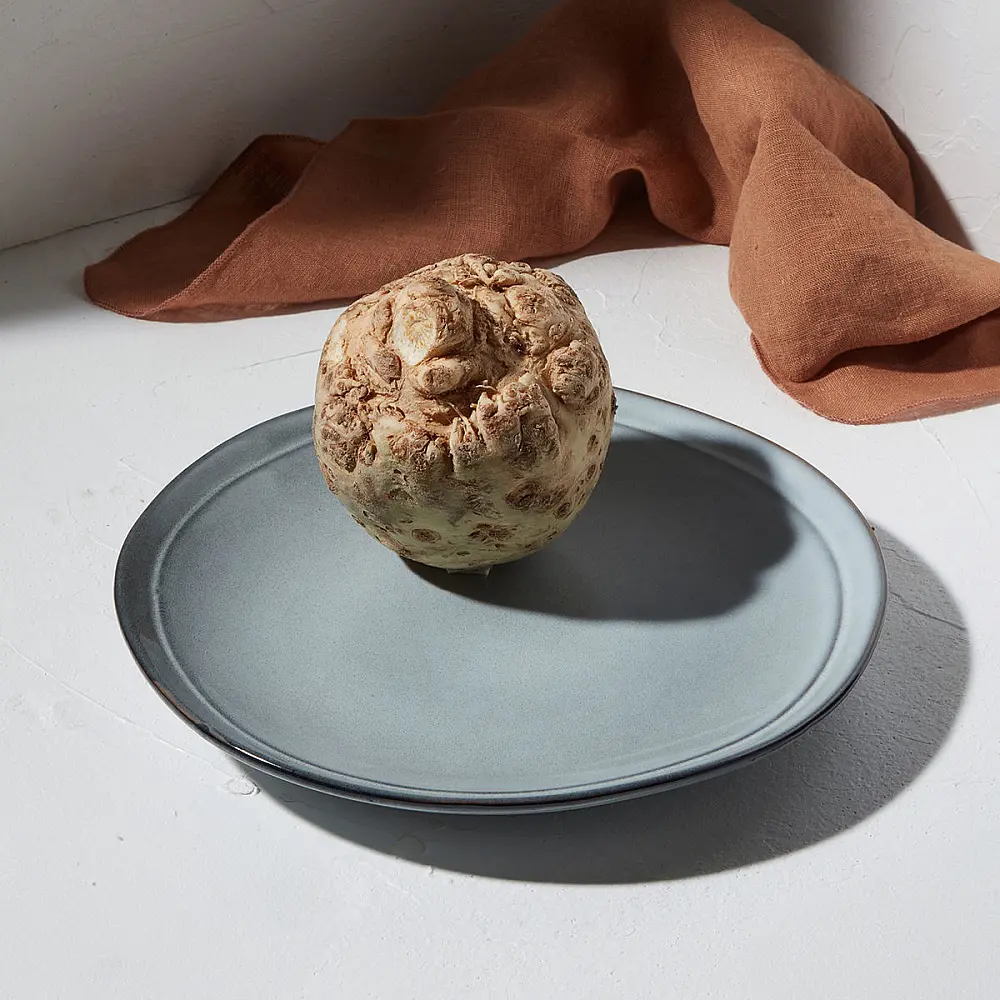 ΠΙΑΤΟ ΡΗΧΟ DELINE STONEWARE 27cm PACIFIC 07-24550