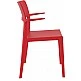 PLUS RED(Σ22)ΠΟΛΥΘΡΟΝΑ ΠΟΛ/ΝΙΟΥ PLUS RED(Σ22)ΠΟΛΥΘΡΟΝΑ ΠΟΛ/ΝΙΟΥ