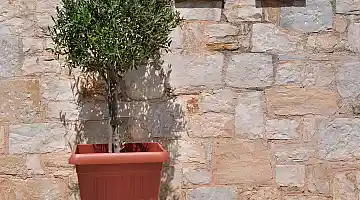 Βάσεις - Πιάτα _ inde