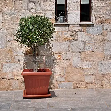 Βάσεις - Πιάτα _ inde