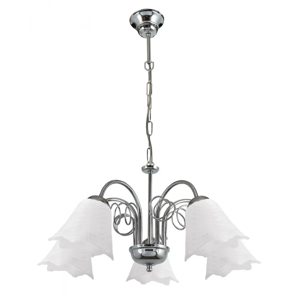 PDT 2041-5 CR # 5/Φ ΣΚΕΛΕΤΟΣ  ΕΛΑΤΗΡΙΟ ΛΕΥΚΟ ΓΥΑΛΙ 5ΧΕ14