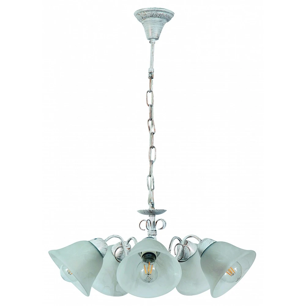 PDC 2261-5 WH# 5/Φ ΛΕΥΚΟ ΜΕ ΧΡΥΣΗ  5ΧΕ27