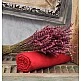 Σεντόνια Μονόχρωμα Λάστιχο Angel - Red, Διπλό λάστιχο (150x200+25) Σεντόνια Μονόχρωμα Λάστιχο Angel - Red, Διπλό λάστιχο (150x200+25)