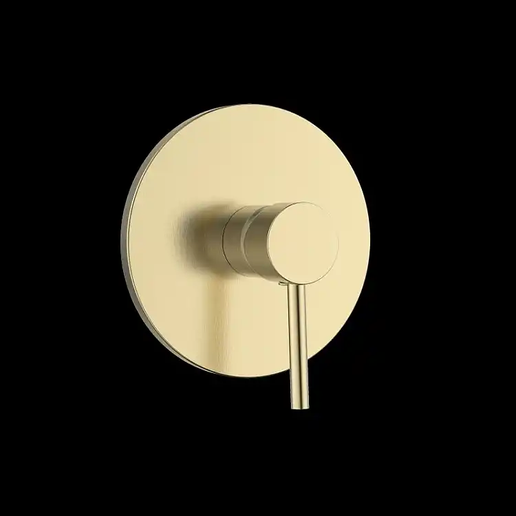 GINI- ΜΠΑΤΑΡΙΑ ΛΟΥΤΡΟΥ ΕΝΤΟΙΧΙΣΜΟΥ ONE FUNCTION BRUSH GOLD - GLORIA