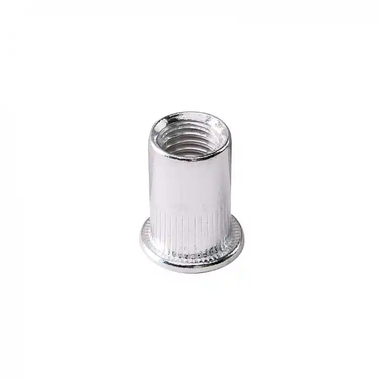 TOP MASTER Πριτσίνια με σπείρωμα 20τεμ 10*20mm 511159