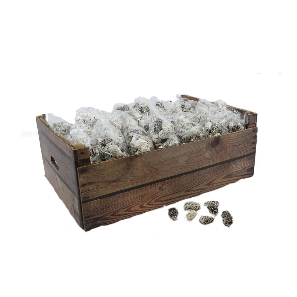 PINUS ΔΙΑΚΟΣΜΗΤΙΚΟ ΚΟΥΚΟΥΝΑΡΙΑ ΛΕΥΚΟINTHEBOX