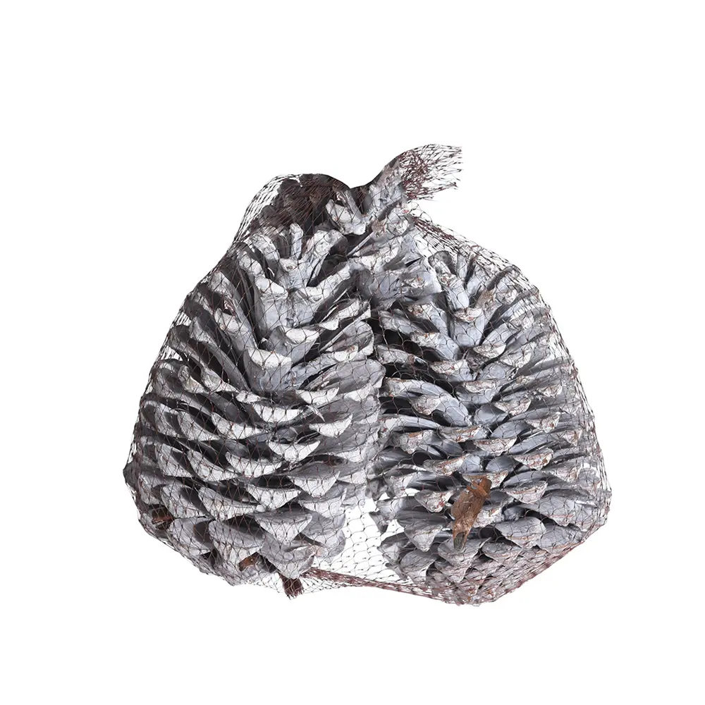 CHRISTMASH PINECONE ΚΟΥΚΟΥΝΑΡΙΑ ΦΥΣΙΚΟ 14 INTHEBOX