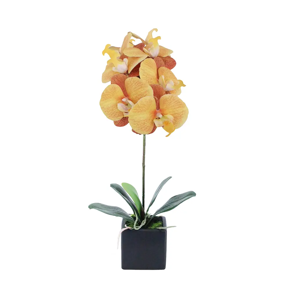ORCHIDEA ΛΟΥΛΟΥΔΙ ΤΕΧΝΗΤΟ ΣΕ ΓΛΑΣΤΡΑ 63 PEVA ΚΙΤΡΙΝΟ ΠΟΡΤΟΚΑΛΙ ΚΕΡΑΜΙΚΟINTHEBOX ORCHIDEA ΛΟΥΛΟΥΔΙ ΤΕΧΝΗΤΟ ΣΕ ΓΛΑΣΤΡΑ 63 PEVA ΚΙΤΡΙΝΟ ΠΟΡΤΟΚΑΛΙ ΚΕΡΑΜΙΚΟINTHEBOX
