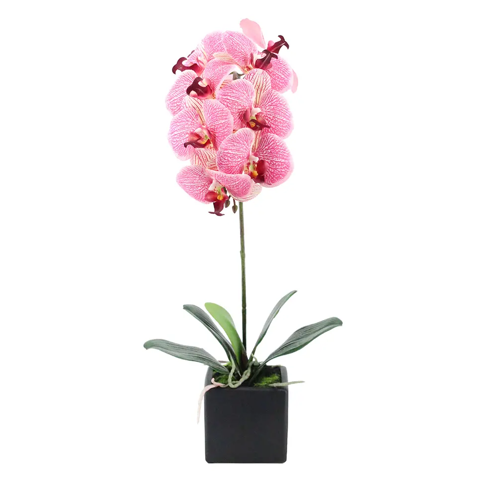 ORCHIDEA ΛΟΥΛΟΥΔΙ ΤΕΧΝΗΤΟ ΣΕ ΓΛΑΣΤΡΑ 63 PEVA ΡΟΖ ΚΙΤΡΙΝΟ ΚΕΡΑΜΙΚΟINTHEBOX ORCHIDEA ΛΟΥΛΟΥΔΙ ΤΕΧΝΗΤΟ ΣΕ ΓΛΑΣΤΡΑ 63 PEVA ΡΟΖ ΚΙΤΡΙΝΟ ΚΕΡΑΜΙΚΟINTHEBOX