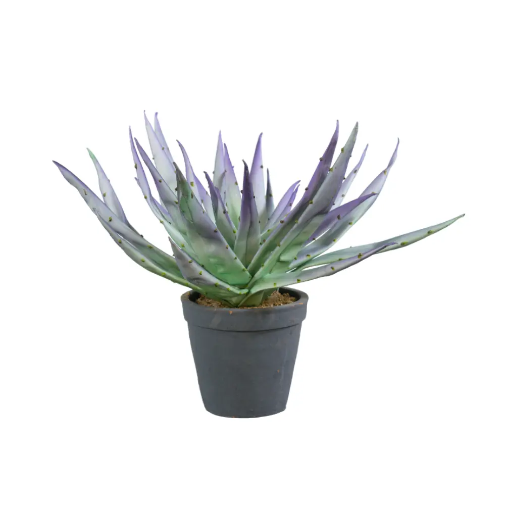 ALOE MAUVE ΦΥΤΟ ΤΕΧΝΗΤΟ ΣΕ ΓΛΑΣΤΡΑ 32 EVA FOAM ΜΩΒ ΠΡΑΣΙΝΟ ΚΕΡΑΜΙΚΟ ΜΑΥΡΟINTHEBOX ALOE MAUVE ΦΥΤΟ ΤΕΧΝΗΤΟ ΣΕ ΓΛΑΣΤΡΑ 32 EVA FOAM ΜΩΒ ΠΡΑΣΙΝΟ ΚΕΡΑΜΙΚΟ ΜΑΥΡΟINTHEBOX