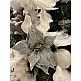 SPARK ΧΡΙΣΤΟΥΓΕΝΝΙΑΤΙΚΟ ΛΟΥΛΟΥΔΙ 30x30 POLYESTER ΑΣΗΜΙ INTHEBOX SPARK ΧΡΙΣΤΟΥΓΕΝΝΙΑΤΙΚΟ ΛΟΥΛΟΥΔΙ 30x30 POLYESTER ΑΣΗΜΙ INTHEBOX