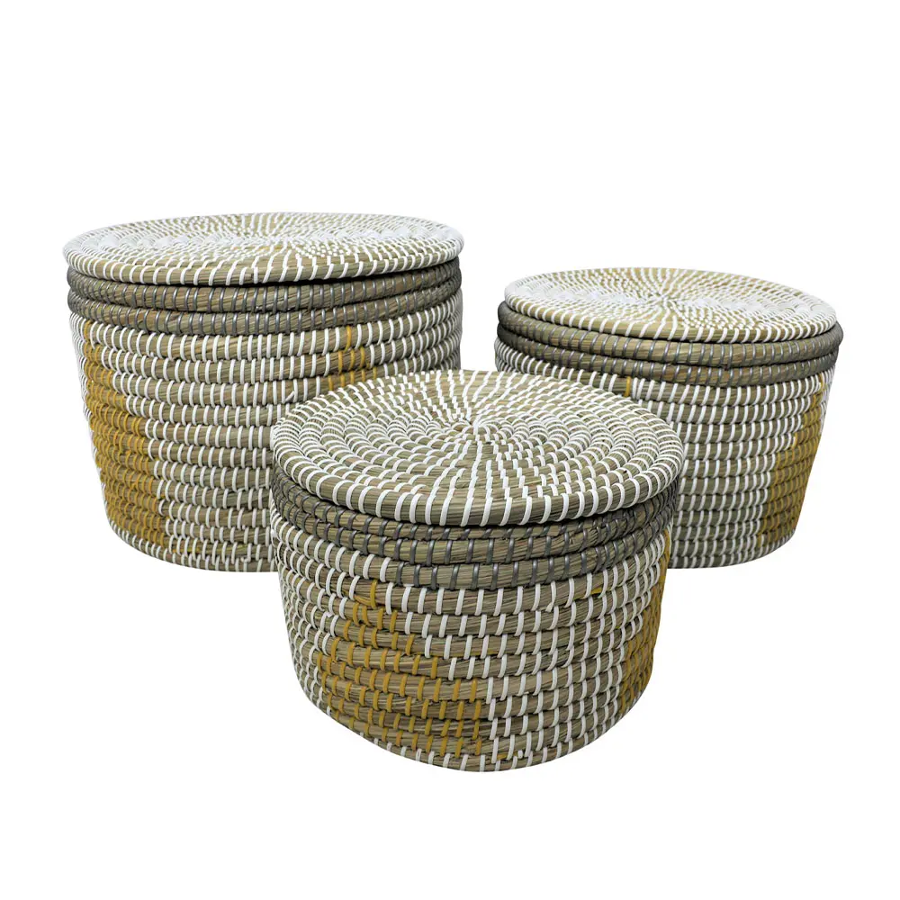 KAIA ΚΑΛΑΘΙ ΜΕ ΚΑΠΑΚΙ SET 3ΤΜΧ 35x35x25 KANSGRASS ΠΟΛΥΧΡΩΜΟ PVCINTHEBOX