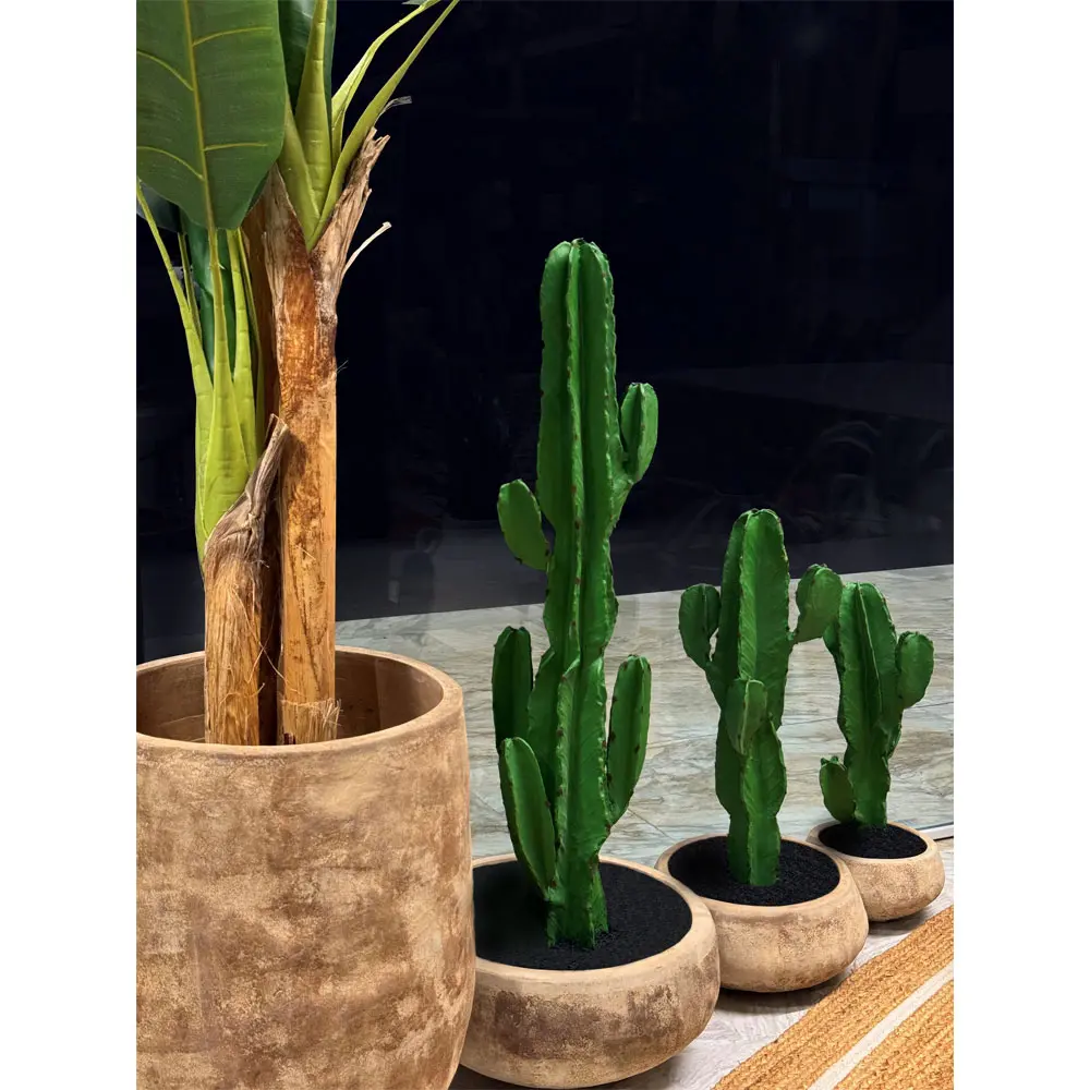 CANDELABRA CACTUS ΦΥΤΟ ΤΕΧΝΗΤΟ ΣΕ ΓΛΑΣΤΡΑ 70 PU ΠΡΑΣΙΝΟINTHEBOX CANDELABRA CACTUS ΦΥΤΟ ΤΕΧΝΗΤΟ ΣΕ ΓΛΑΣΤΡΑ 70 PU ΠΡΑΣΙΝΟINTHEBOX