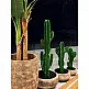 CANDELABRA CACTUS ΦΥΤΟ ΤΕΧΝΗΤΟ ΣΕ ΓΛΑΣΤΡΑ 70 PU ΠΡΑΣΙΝΟINTHEBOX CANDELABRA CACTUS ΦΥΤΟ ΤΕΧΝΗΤΟ ΣΕ ΓΛΑΣΤΡΑ 70 PU ΠΡΑΣΙΝΟINTHEBOX