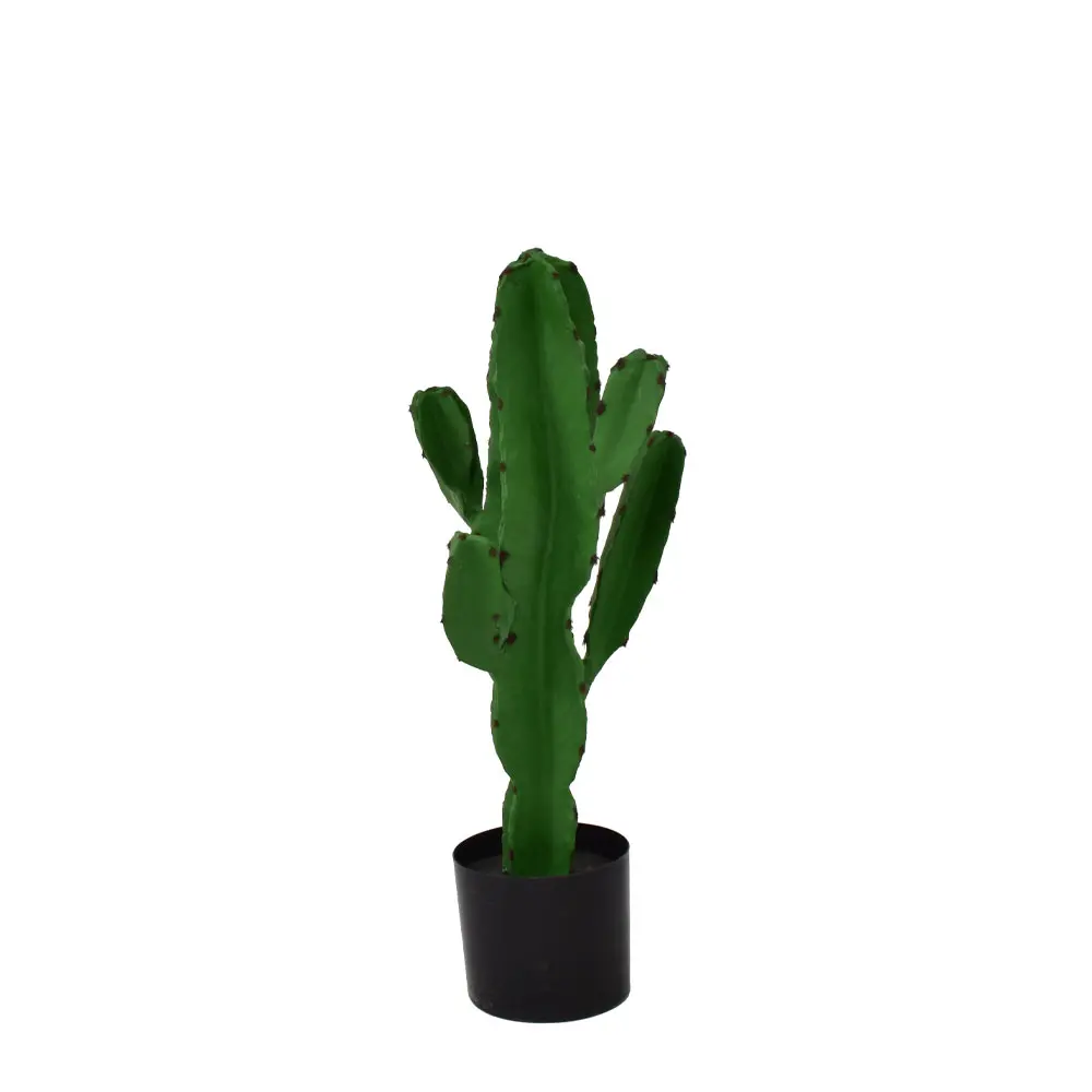 CANDELABRA CACTUS ΦΥΤΟ ΤΕΧΝΗΤΟ ΣΕ ΓΛΑΣΤΡΑ 70 PU ΠΡΑΣΙΝΟINTHEBOX CANDELABRA CACTUS ΦΥΤΟ ΤΕΧΝΗΤΟ ΣΕ ΓΛΑΣΤΡΑ 70 PU ΠΡΑΣΙΝΟINTHEBOX