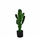 CANDELABRA CACTUS ΦΥΤΟ ΤΕΧΝΗΤΟ ΣΕ ΓΛΑΣΤΡΑ 70 PU ΠΡΑΣΙΝΟINTHEBOX CANDELABRA CACTUS ΦΥΤΟ ΤΕΧΝΗΤΟ ΣΕ ΓΛΑΣΤΡΑ 70 PU ΠΡΑΣΙΝΟINTHEBOX