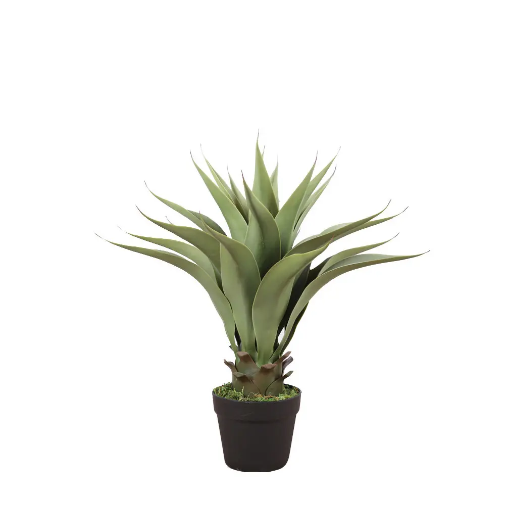 AGAVE ΦΥΤΟ ΤΕΧΝΗΤΟ ΣΕ ΓΛΑΣΤΡΑ 55 PVC ΠΡΑΣΙΝΟ ΜΑΥΡΟ ΤΣΙΜΕΝΤΟINTHEBOX AGAVE ΦΥΤΟ ΤΕΧΝΗΤΟ ΣΕ ΓΛΑΣΤΡΑ 55 PVC ΠΡΑΣΙΝΟ ΜΑΥΡΟ ΤΣΙΜΕΝΤΟINTHEBOX