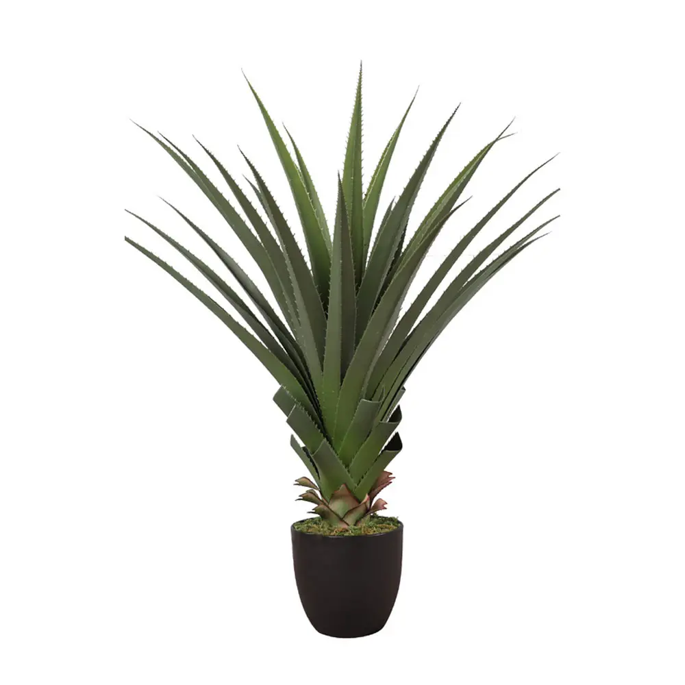 AGAVE ΦΥΤΟ ΤΕΧΝΗΤΟ ΣΕ ΓΛΑΣΤΡΑ 90 PVC ΠΡΑΣΙΝΟ ΜΑΥΡΟ ΤΣΙΜΕΝΤΟINTHEBOX AGAVE ΦΥΤΟ ΤΕΧΝΗΤΟ ΣΕ ΓΛΑΣΤΡΑ 90 PVC ΠΡΑΣΙΝΟ ΜΑΥΡΟ ΤΣΙΜΕΝΤΟINTHEBOX