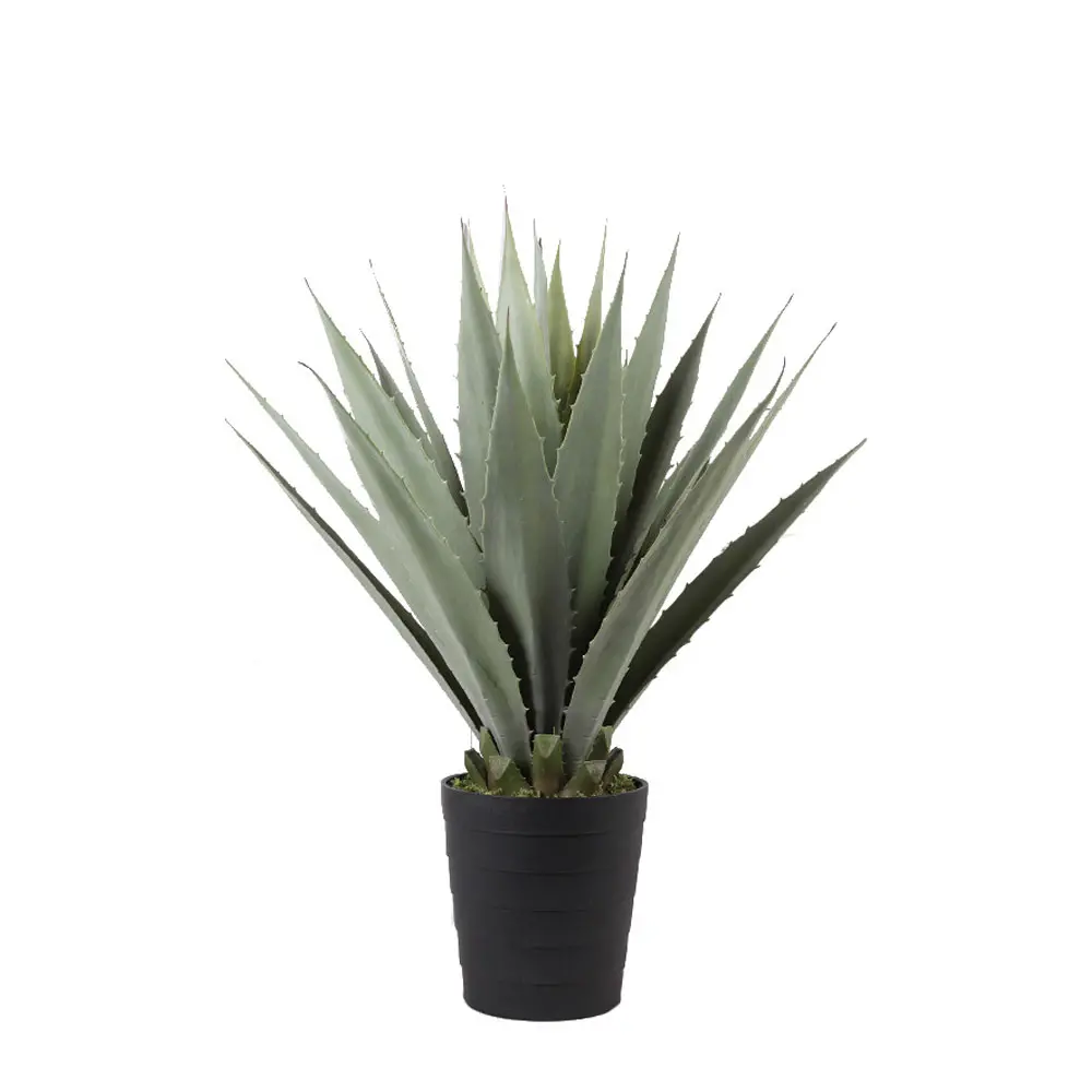 AGAVE ΦΥΤΟ ΤΕΧΝΗΤΟ ΣΕ ΓΛΑΣΤΡΑ 58 PVC ΠΡΑΣΙΝΟ ΜΑΥΡΟ ΤΣΙΜΕΝΤΟINTHEBOX AGAVE ΦΥΤΟ ΤΕΧΝΗΤΟ ΣΕ ΓΛΑΣΤΡΑ 58 PVC ΠΡΑΣΙΝΟ ΜΑΥΡΟ ΤΣΙΜΕΝΤΟINTHEBOX