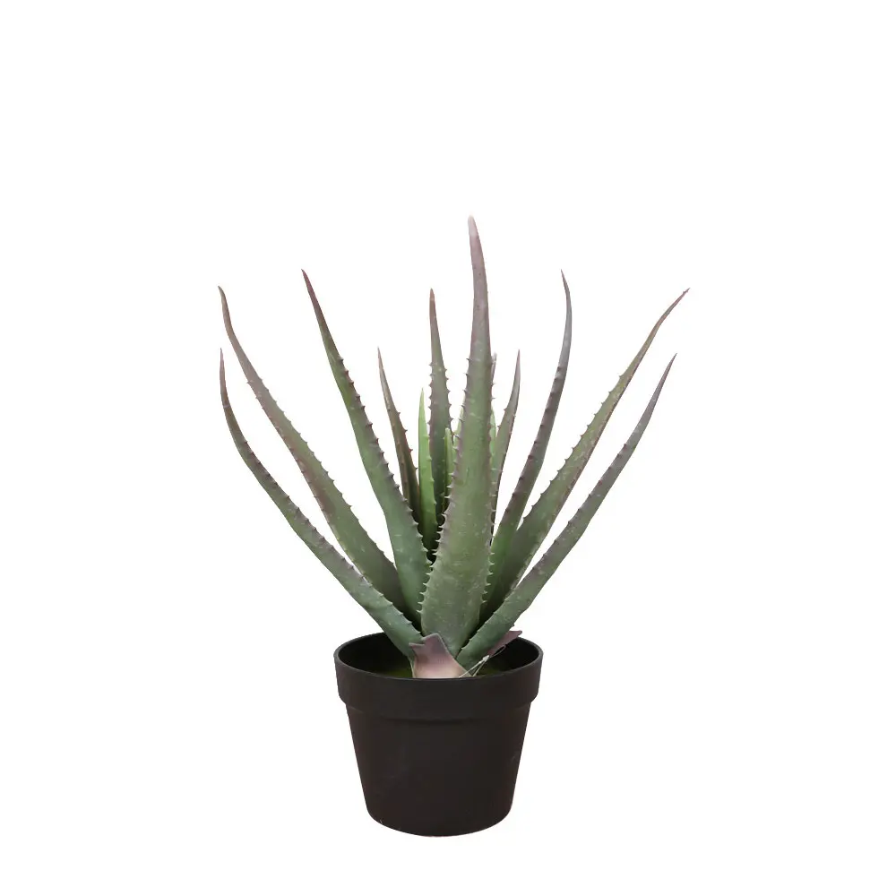ALOE ΦΥΤΟ ΤΕΧΝΗΤΟ ΣΕ ΓΛΑΣΤΡΑ 52 PVC ΠΡΑΣΙΝΟ ΜΑΥΡΟ ΤΣΙΜΕΝΤΟINTHEBOX ALOE ΦΥΤΟ ΤΕΧΝΗΤΟ ΣΕ ΓΛΑΣΤΡΑ 52 PVC ΠΡΑΣΙΝΟ ΜΑΥΡΟ ΤΣΙΜΕΝΤΟINTHEBOX