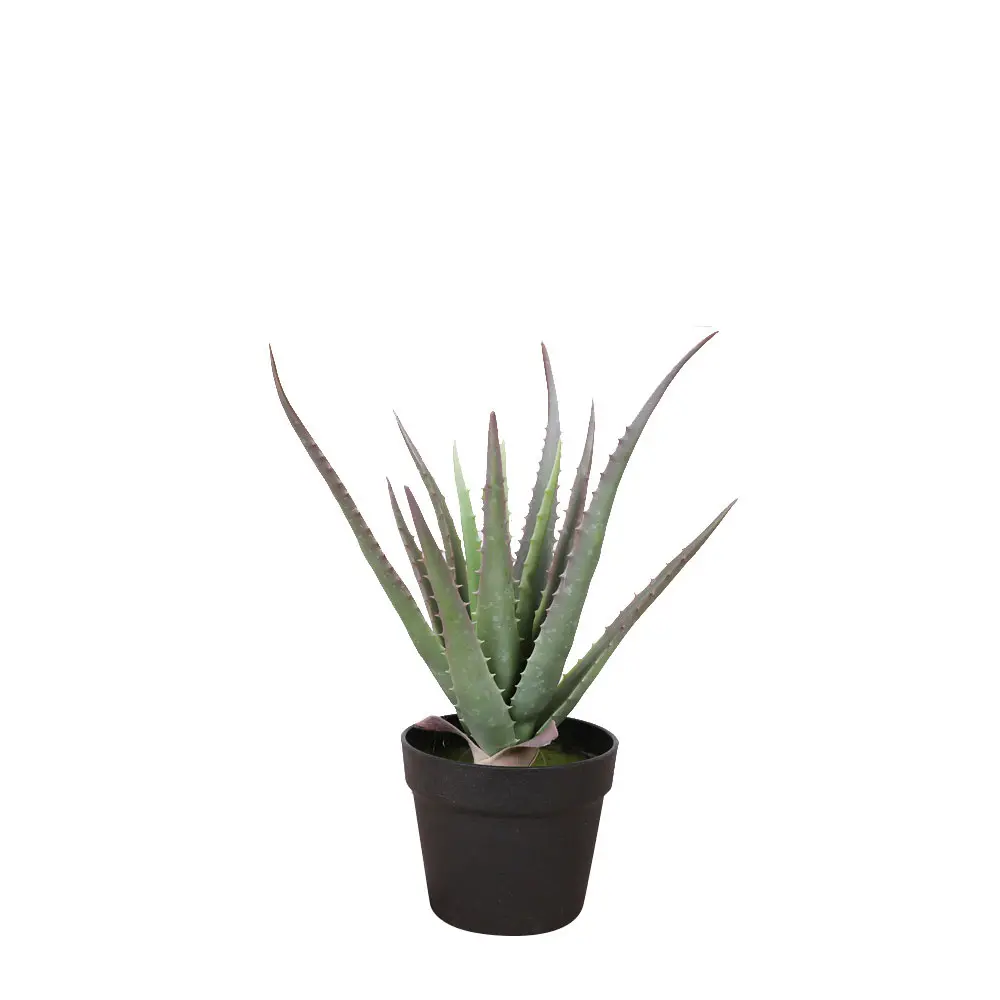 ALOE ΦΥΤΟ ΤΕΧΝΗΤΟ ΣΕ ΓΛΑΣΤΡΑ 43 PVC ΠΡΑΣΙΝΟ ΜΑΥΡΟ ΤΣΙΜΕΝΤΟINTHEBOX ALOE ΦΥΤΟ ΤΕΧΝΗΤΟ ΣΕ ΓΛΑΣΤΡΑ 43 PVC ΠΡΑΣΙΝΟ ΜΑΥΡΟ ΤΣΙΜΕΝΤΟINTHEBOX