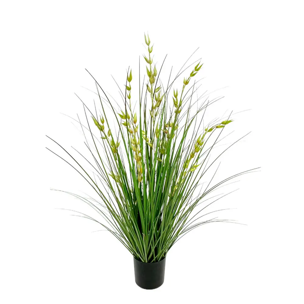 OAT GRASS ΦΥΤΟ ΤΕΧΝΗΤΟ ΣΕ ΓΛΑΣΤΡΑ 90 PVC ΠΡΑΣΙΝΟINTHEBOX OAT GRASS ΦΥΤΟ ΤΕΧΝΗΤΟ ΣΕ ΓΛΑΣΤΡΑ 90 PVC ΠΡΑΣΙΝΟINTHEBOX