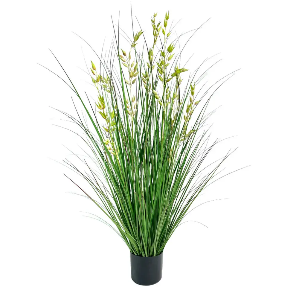 OAT GRASS ΦΥΤΟ ΤΕΧΝΗΤΟ ΣΕ ΓΛΑΣΤΡΑ 120 PVC ΠΡΑΣΙΝΟINTHEBOX OAT GRASS ΦΥΤΟ ΤΕΧΝΗΤΟ ΣΕ ΓΛΑΣΤΡΑ 120 PVC ΠΡΑΣΙΝΟINTHEBOX